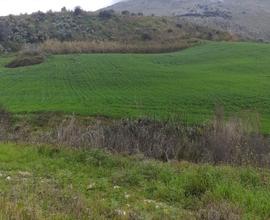 Terreno Industriale per fotovoltaico 2 ettari