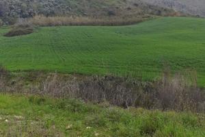 Terreno Industriale per fotovoltaico 2 ettari