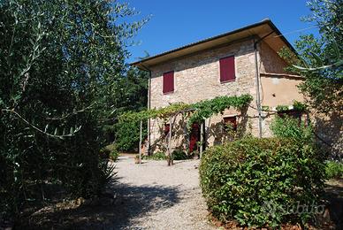 Soggiorno Estate 2024 Val di Cornia Venturina