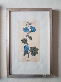 Stampa botanica dipinta a mano 