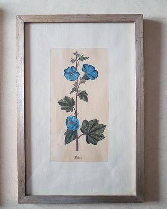 Stampa botanica dipinta a mano 