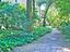 Immagine 26