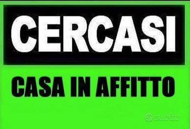 Appartamento annuale anche da risistemare