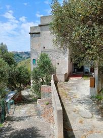 Catanzaro centro-Più unità immobiliari con terreno