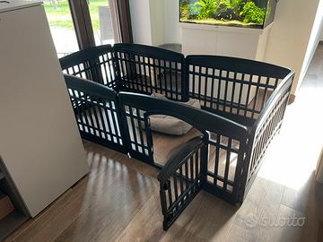 Recinto cucciolo cane coniglio