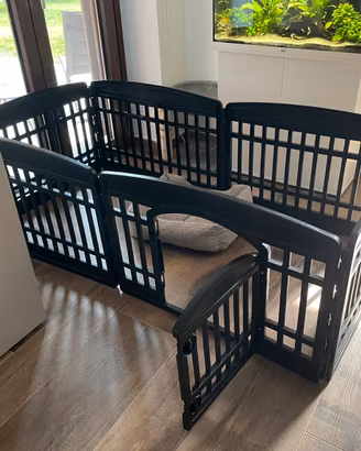 Recinto cucciolo cane coniglio