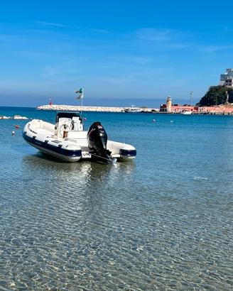 Joker boat Coaster 650 df150