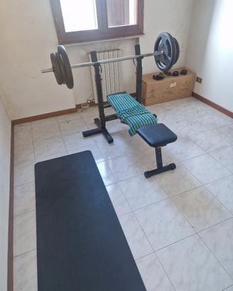 palestra corenght