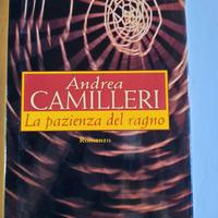 LA PAZIENZA DEL RAGNO