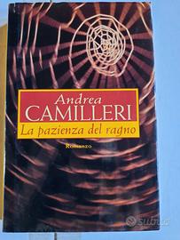 LA PAZIENZA DEL RAGNO