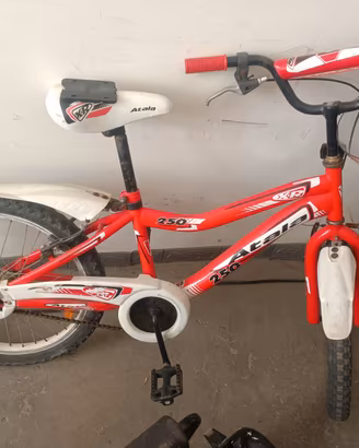 Bici n. 20