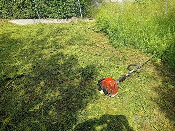 Si effettuano lavori di giardinaggio