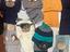 Immagine 3