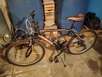 biciclette 