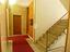 Immagine 7