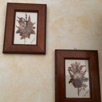 Quadri con fiori secchi