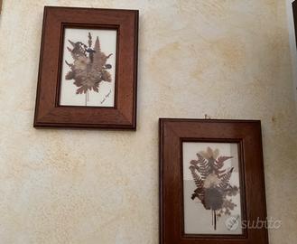 Quadri con fiori secchi