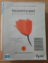 libro "incontri e voci"