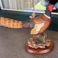 Fagiano Gunther Granget Anri