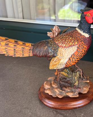 Fagiano Gunther Granget Anri