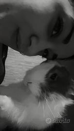 Pulizie, babysitter e aiuto bar