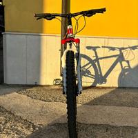 Bicicletta mountain bike