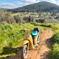  scooter piaggio free 50 