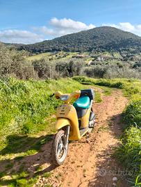  scooter piaggio free 50 