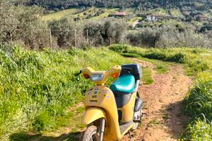  scooter piaggio free 50 
