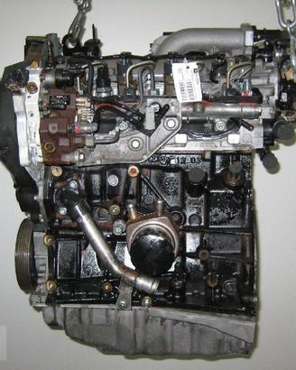 PBL256 Motore Renault Laguna 1.9 F9Q674 [05/07]