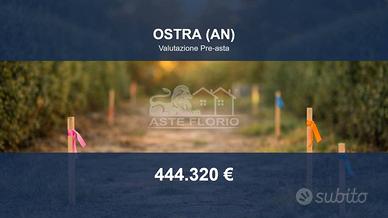 Immobile in asta di 36932 m² a Ostra
