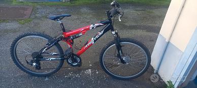 bici mountain da 24