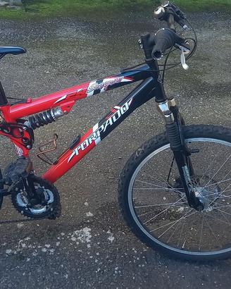 bici mountain da 24