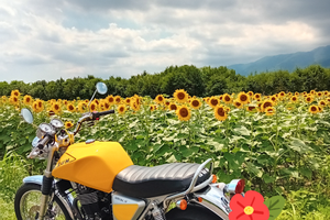 Swm Scrambler 440 silver vase