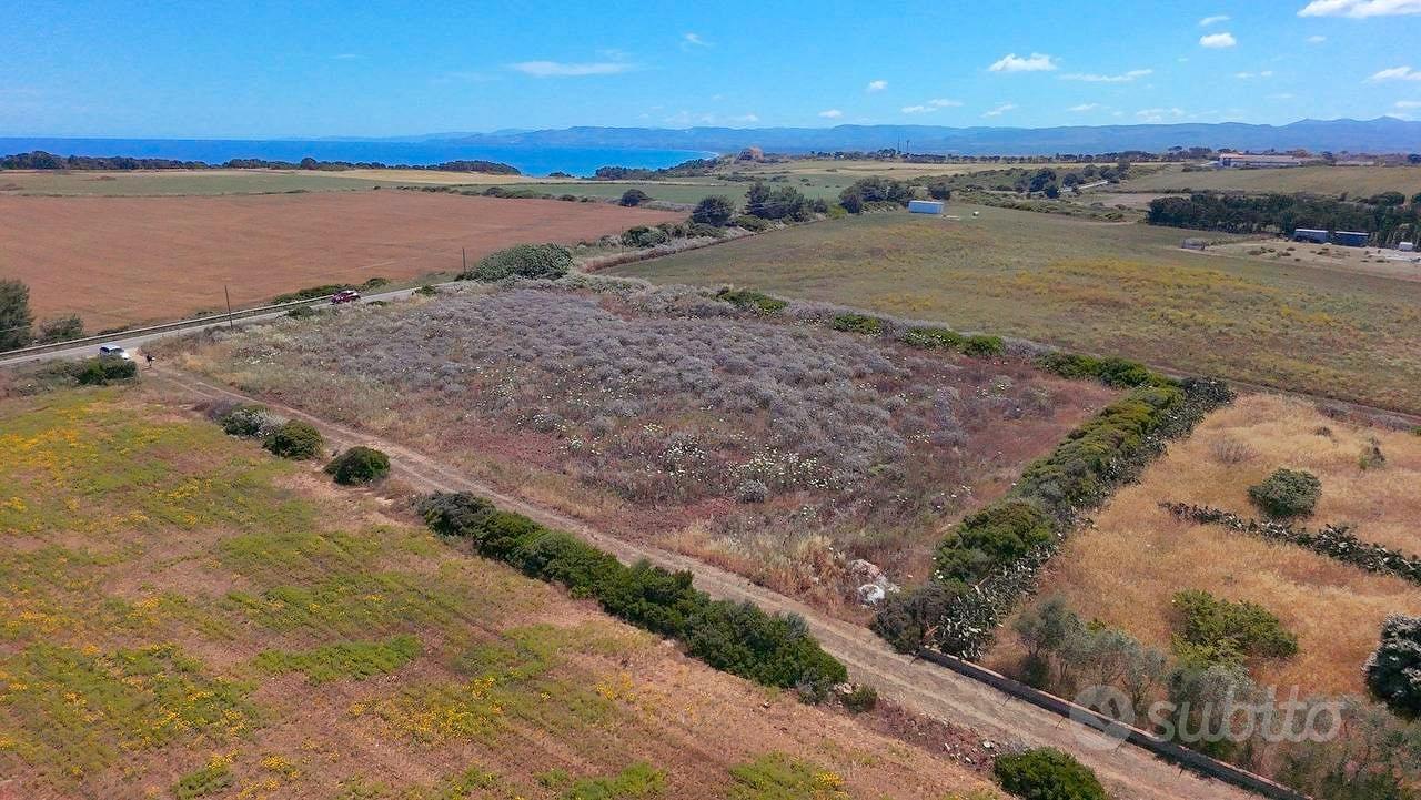 Terreno agricolo a due passi dal mare - Vista 5
