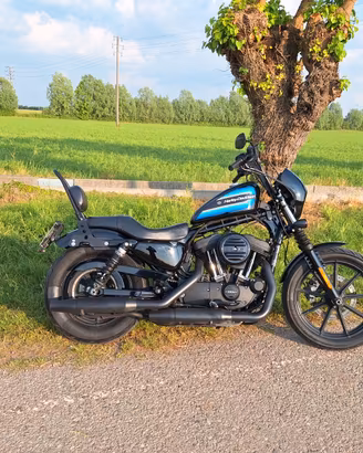 iron 1200 sporster