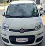fiat-panda-1-2-easy