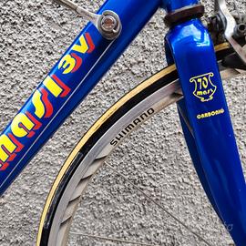 MASI 3V
