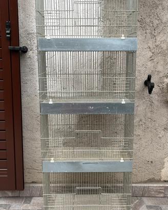 Gabbia/batteria/voliera