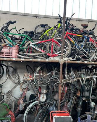 Lotto biciclette