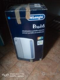 climatizzatore pinguino 