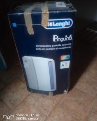 climatizzatore pinguino 