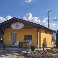 Cuccioloni di circa 4 mesi