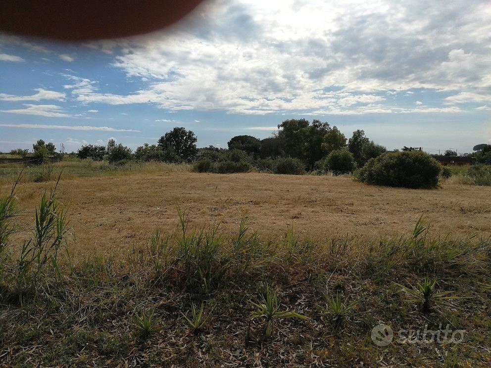 Terreno zona ardea - Vista 2