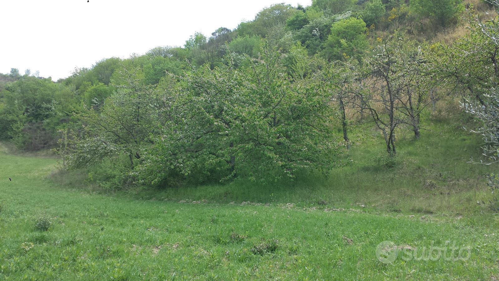Terreno Agricolo - Vista 3
