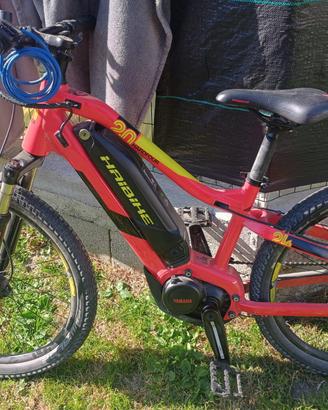 Bicicletta elettrica mountain e-bike