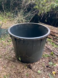 Mastello  per uva plastica