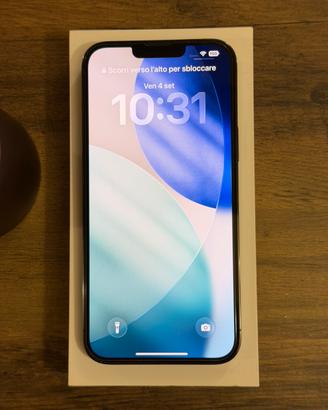 iPhone 13 pro max