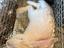 Immagine 3