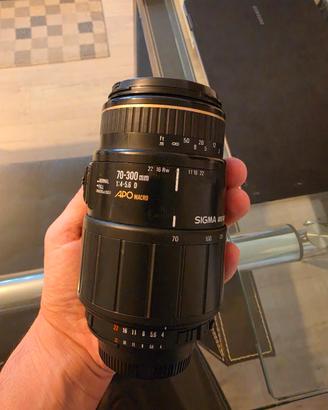 Sigma 70-300 APO MACRO ( ATTACCO NIKON)